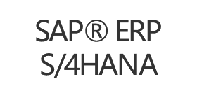 SAP ERP、S/4HANA 实施/运用维护支援